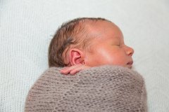 New-born-1